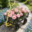Chariot utilitaire de jardin robuste à roues pleines, plateau pour le transport du bois de chauffage, noir et jaune
