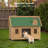 Dog House-1605579184