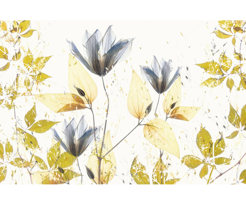 Wrapped Canvas Print, 81.28 cm H x 121.92 cm W