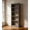 Brendaliz 182cm H x 60cm W Standard Bookcase