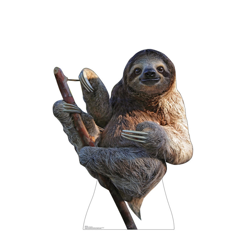 48'' Realistic Sloth Cardboard Stand-Up Decor