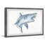 Cimino «Biting Shark», reproduction encadrée-607241308