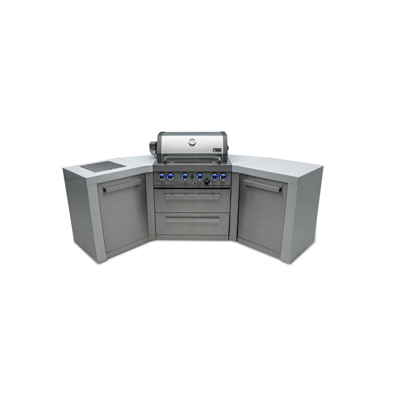 Deluxe 4 - Burner Free Standing Liquid Propane 115000 BTU Gas Grill with Side Burner and Cabinet