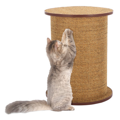 Cat Scratch Sisal Poster