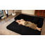Canapé à compression de 78,8 po, canapé-lit convertible au sol avec accoudoirs avec dossier coussiné, canapé-lit à futon confortable, canapé modulaire désossé Loveseat, tissu en velours côtelé, pour le salon, la chambre à coucher-2021134307