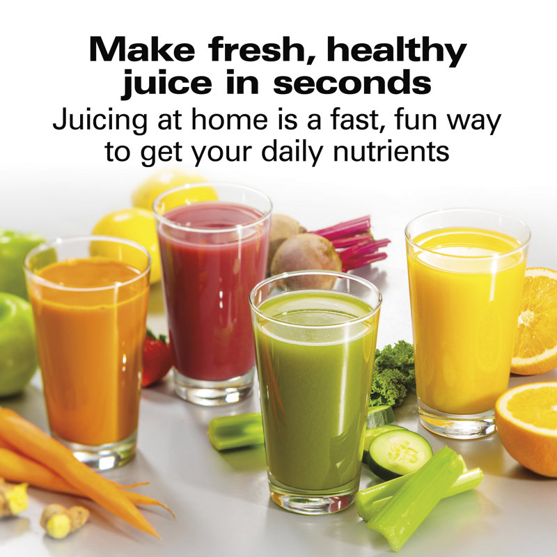 Black Stainless Steel Electric Centrifugal Juicer with Variable Speed