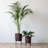 Handmade Metal Pot Planter-1300802540
