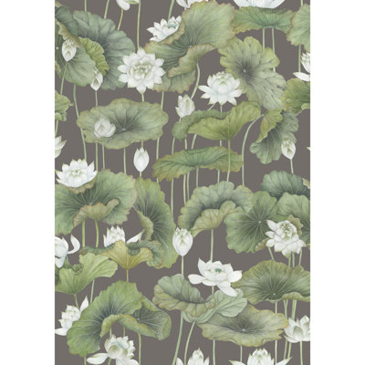 Lily Lotus