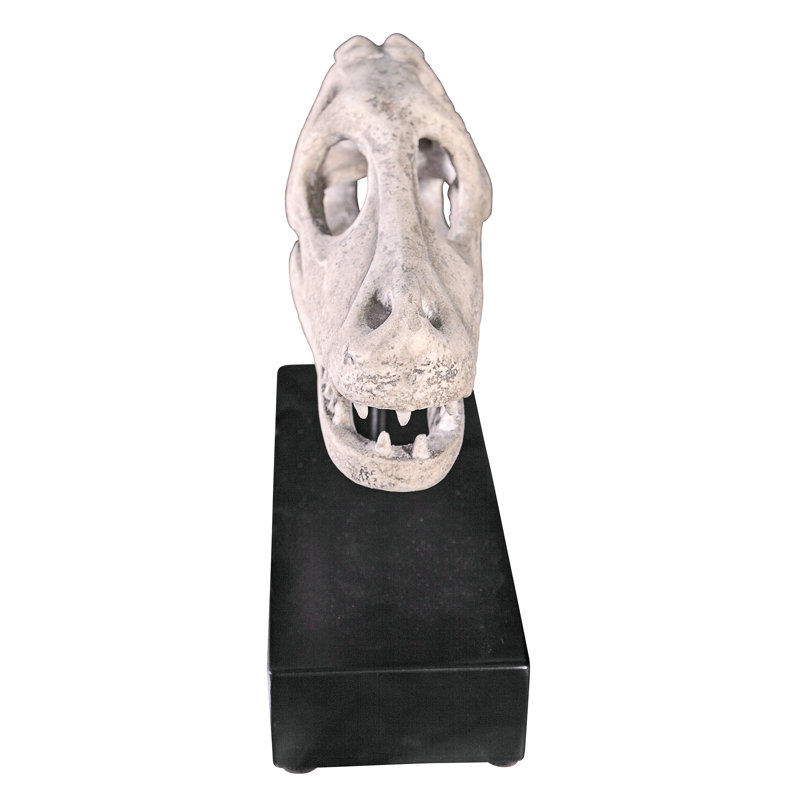 Velociraptor Dinosaur Skull Fossil Sculpture
