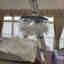 Photos des clients 6 de 8