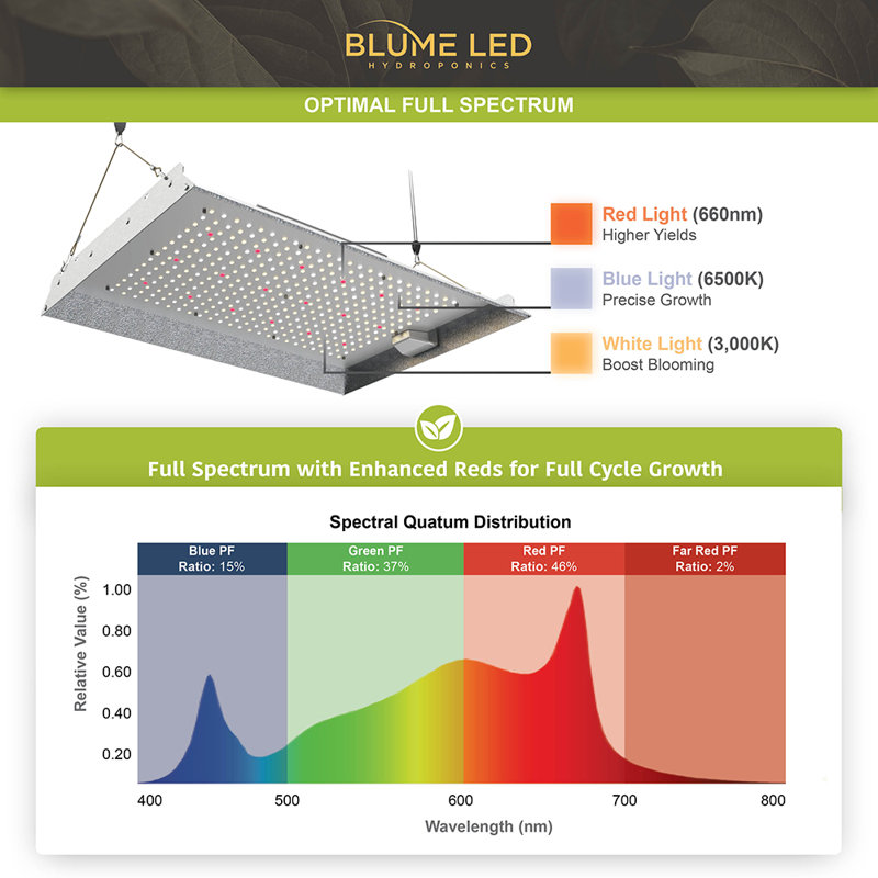 Blume 150-Watt Full Spectrum LED Grow Light with Daisy Chain Function
