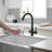 VIBRANTBATH Pull Out Kitchen Faucet