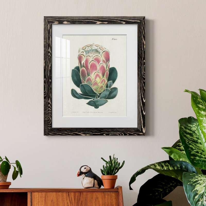 Protea N83 - Peinture encadrée, H 20 po x l 17 po x P 1,5 po, Cadre noir