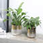 Ensemble de pots à fleurs en métal 2 pièces
