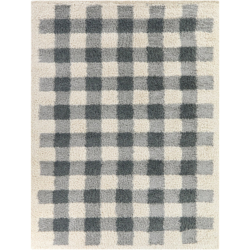 Tapis bleu à poils longs March Gingham, Rectangle 5 pi 3 po x 7 pi