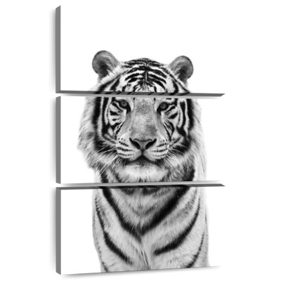Brampt Monochrome Bengal Tiger