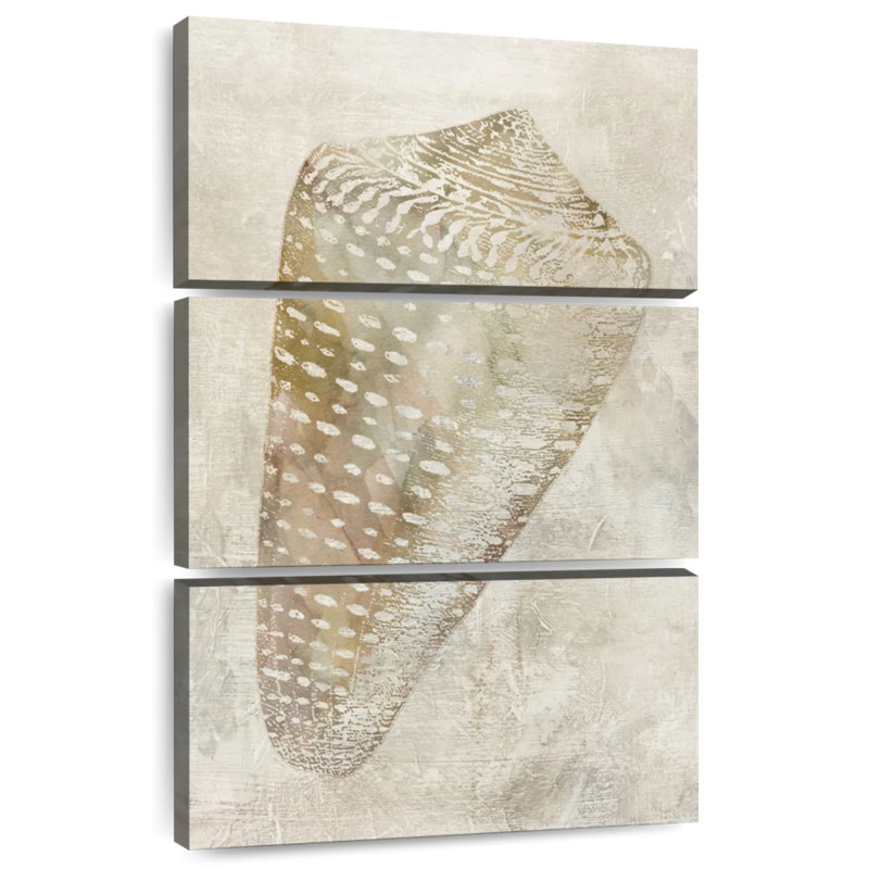 Aletra coquillage illusion II