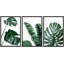 Minimal Botanical Vibrant Green Monstera and Banana Leaf Trio Botanical-72966495-72966496-119390342