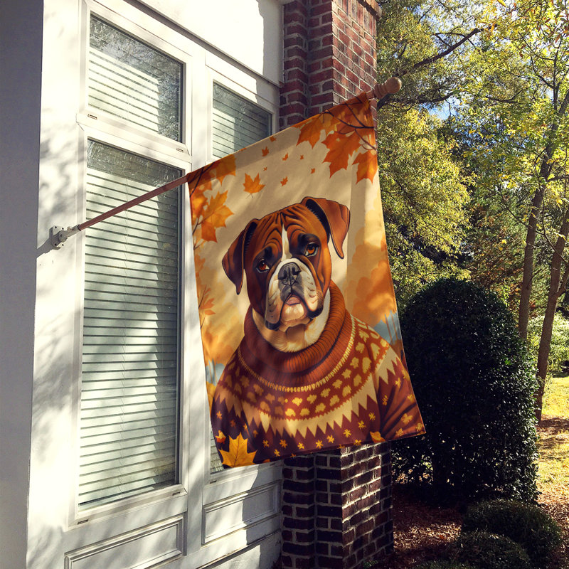 Drapeau Boxer Fall House
