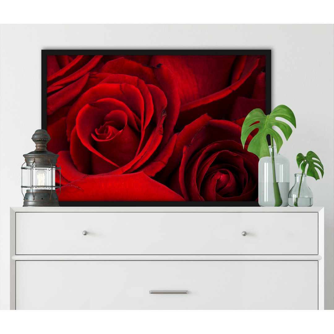 Gerahmtes Wandbild Roses