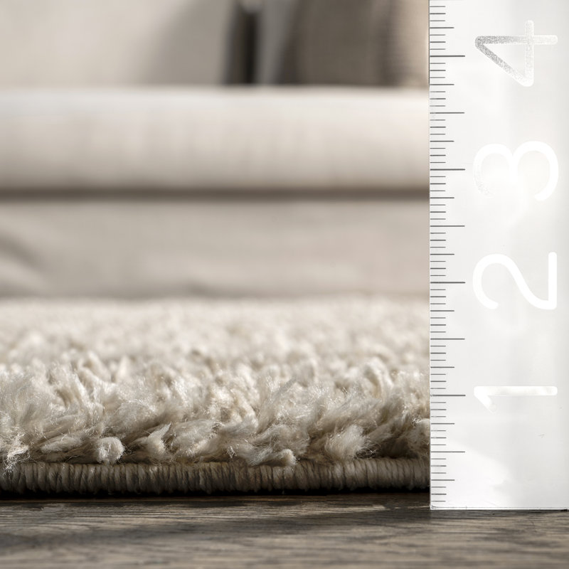 Tapis de couloir à poils longs Simms, Ovale 4 pi x 6 pi