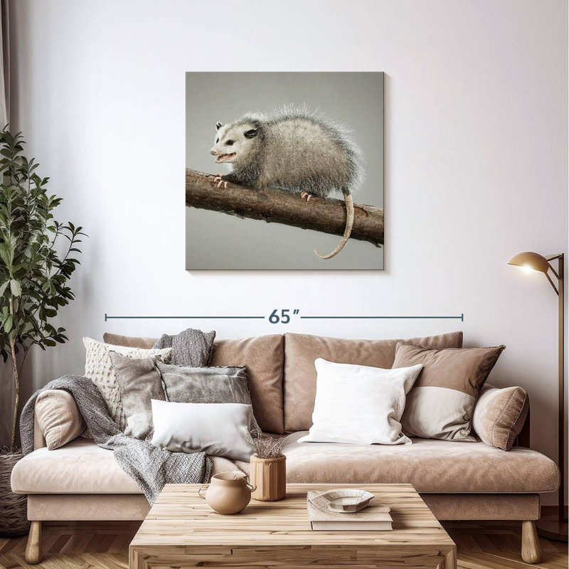 Brampt Snarky Opossum, 36'' H x 36'' W