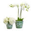 Carroll Set Of 2 Hand-Painted Cachepot / Planter