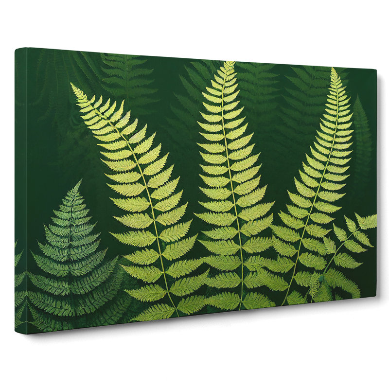 Pretty Fern Leaves - Wrapped Canvas Print, 35cm H x 50cm W x 3cm D