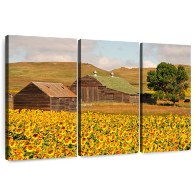 Champ de tournesols Alvord