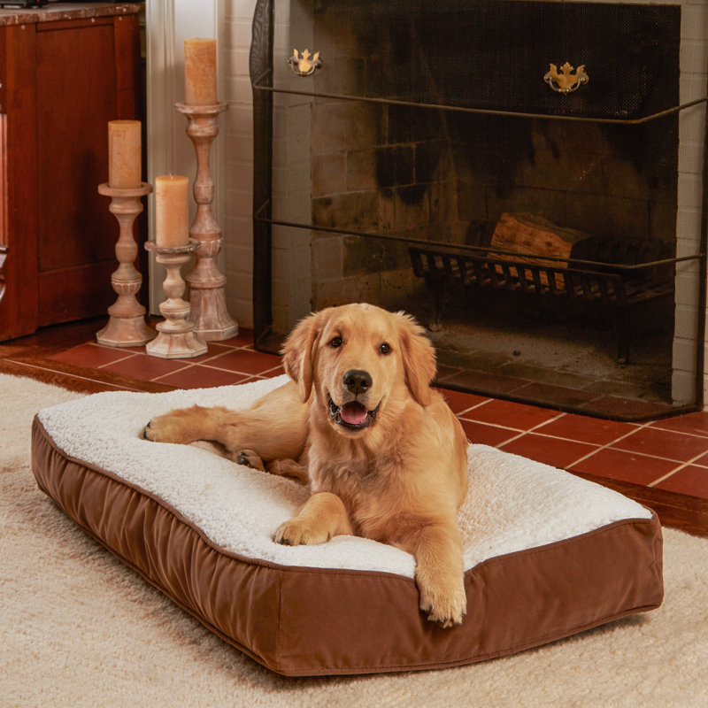 Lit pour chien Olivarez Classic, Petit (L 36 po x l 24 po x H 5 po), En jean