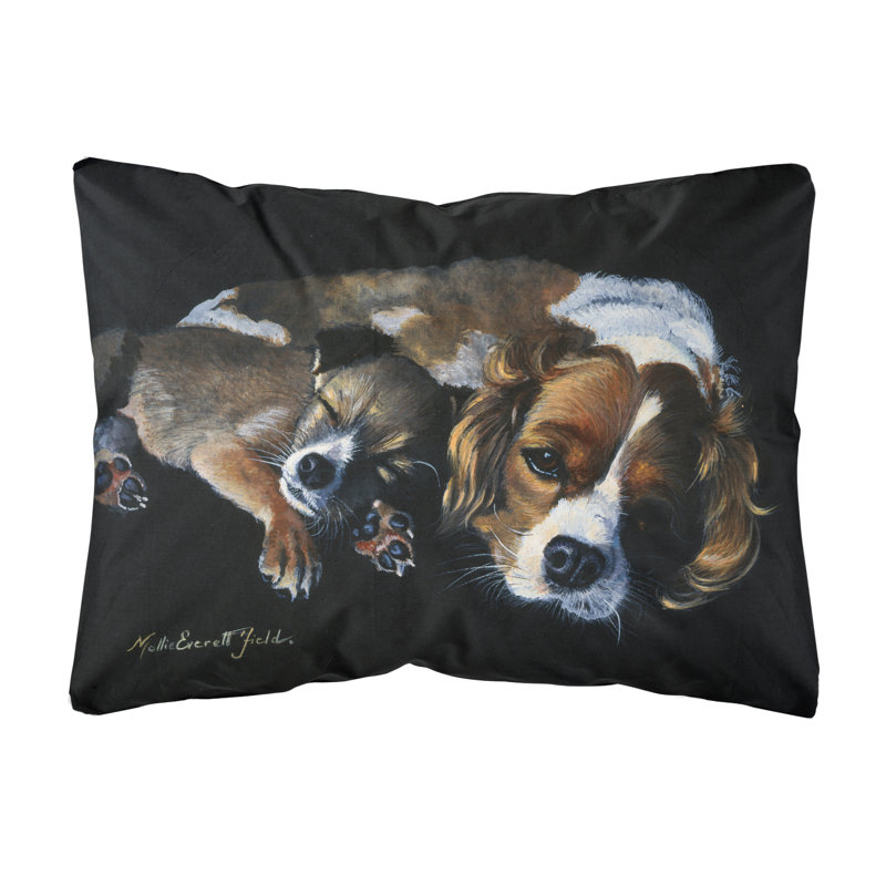  Coussin intérieur / extérieur Cozy Pals with Cavalier Spaniel