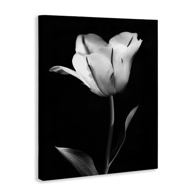 Modern Tulip Stark Contrast Canvas, design by CAD Designs