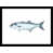 Black Framed Paper