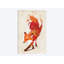 Vulpes Vulpes by Robert Farkas - Wrapped Canvas Print-32981776