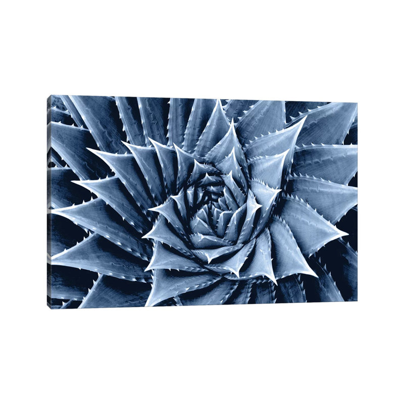 Indigo Succulent I by Mia Jensen - Wrapped Canvas Painting, 20.32 cm H x 30.48 cm W
