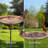 Eugeniea Pedestal Birdbath