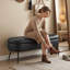 Banc de rangement de 43,7 po Mid-Century-129423037