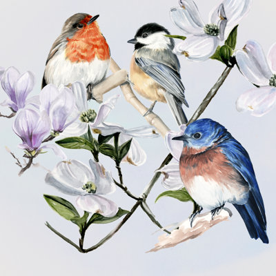 Four Little Birds I by Jennifer Paxton Parker - Wrapped Canvas Painting