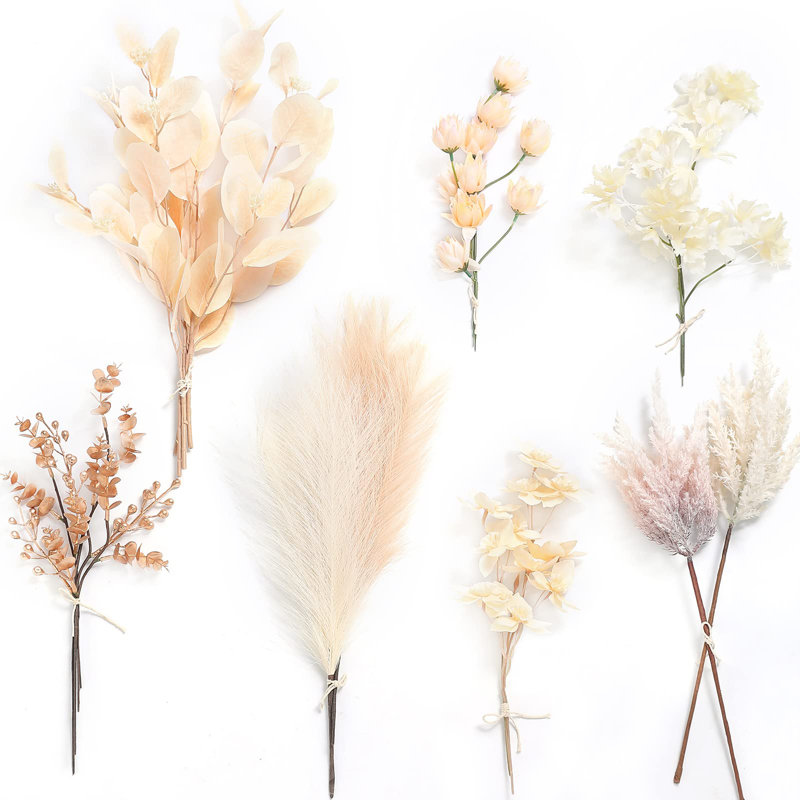 Balhi 17'' Pampas Grass Plant