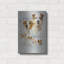 «Jack Russell Terrier» par Barbara Keith-1798454194