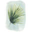 Paradise Palm Leaves II by Grace Popp - Painting Print-137444065-228917678