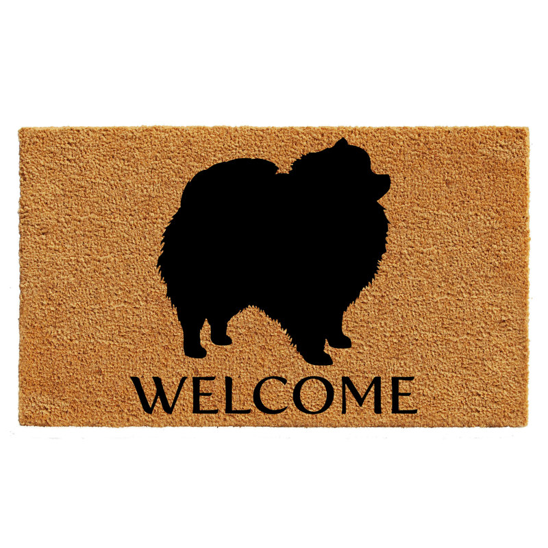 Tapis de porte d’extérieur antidérapant poméranie Angelinea, L 0,6 po x l 29 po x P 17 po
