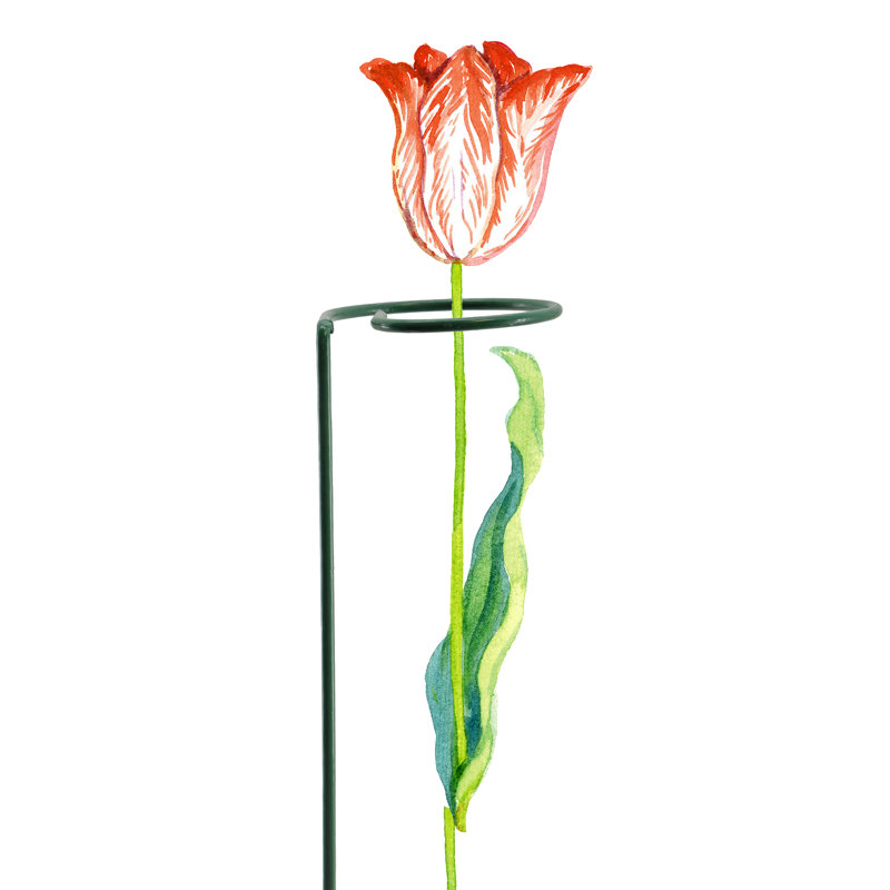 Support à plantes Dowsing, boucle de 40 po, 5 po