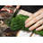 Stove Top Cover - Gingerbread Cookies Gas and Electric Cook Top Cover Noodle Board-372430862