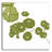 " Pilea " by Trish Sierer-527079454