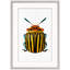 Rainbow Insect 1 Wall Art & Signage by Lillian August