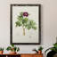 «Pretty Pink Botanicals III», reproduction d'art sur toile-1027508466-1027508465