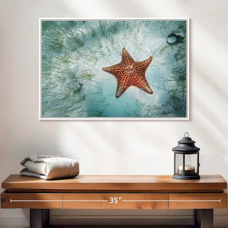Étoile de mer peu profonde, Cadre flottant blanc, 25 po x 17 po