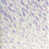 Toile tendue sélectionné
