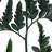 0.0625'' Plant